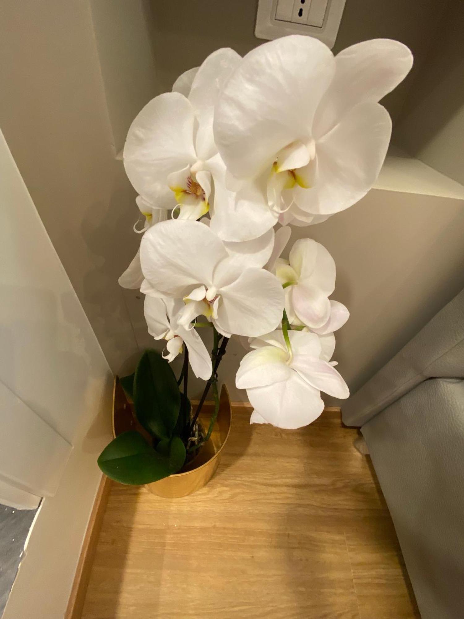 De Vince Suites - Luxury Rooms - Roma Termini Buitenkant foto